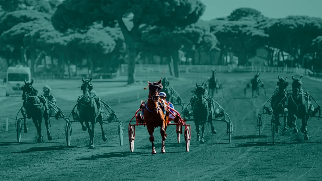 banniere-sulky-course-2