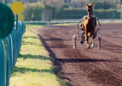 hippodrome-hyeres-centre-entrainement-chevaux-1