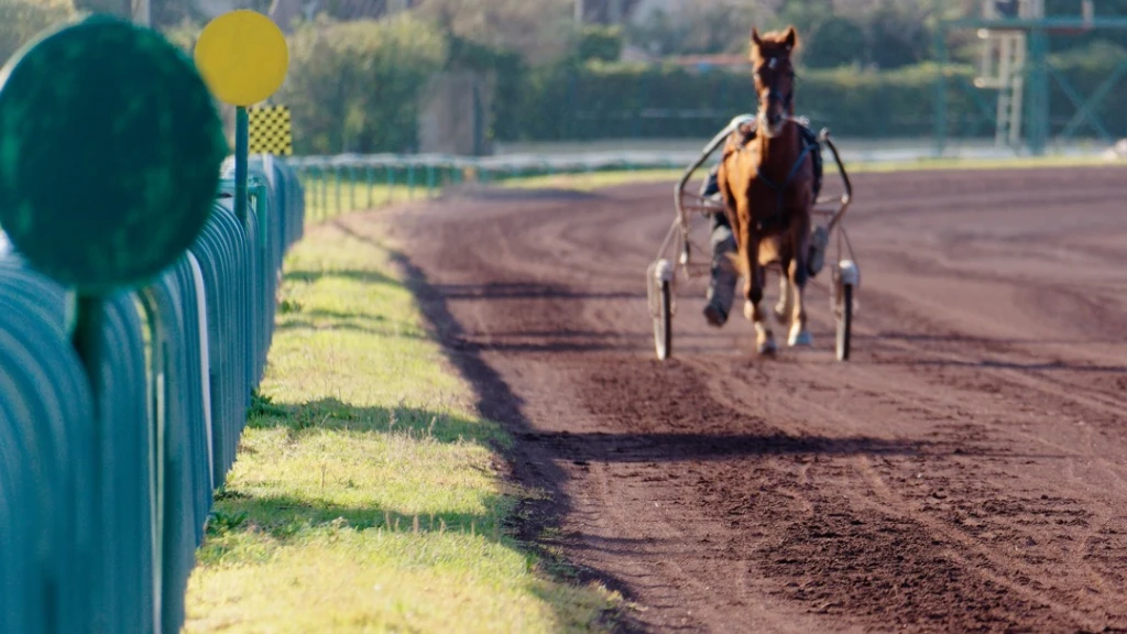 hippodrome-hyeres-centre-entrainement-chevaux-1