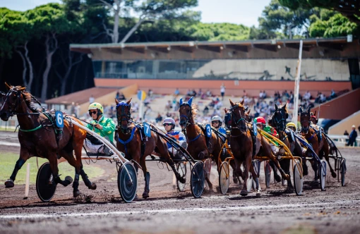 hippodrome-hyeres-partenaires-full-pack