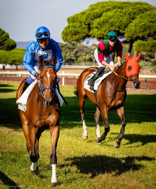hippodrome-hyeres-partenaires-naming-course-2