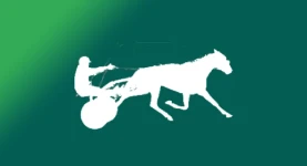 courses-hippiques-reunion-trot-attele